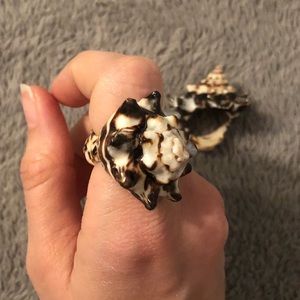 Real Shell Ring approximately size 8